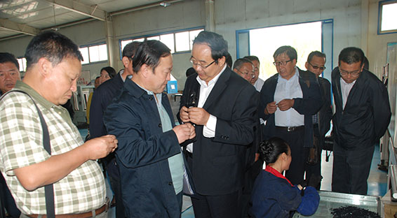 3 J9集团|国际站官网