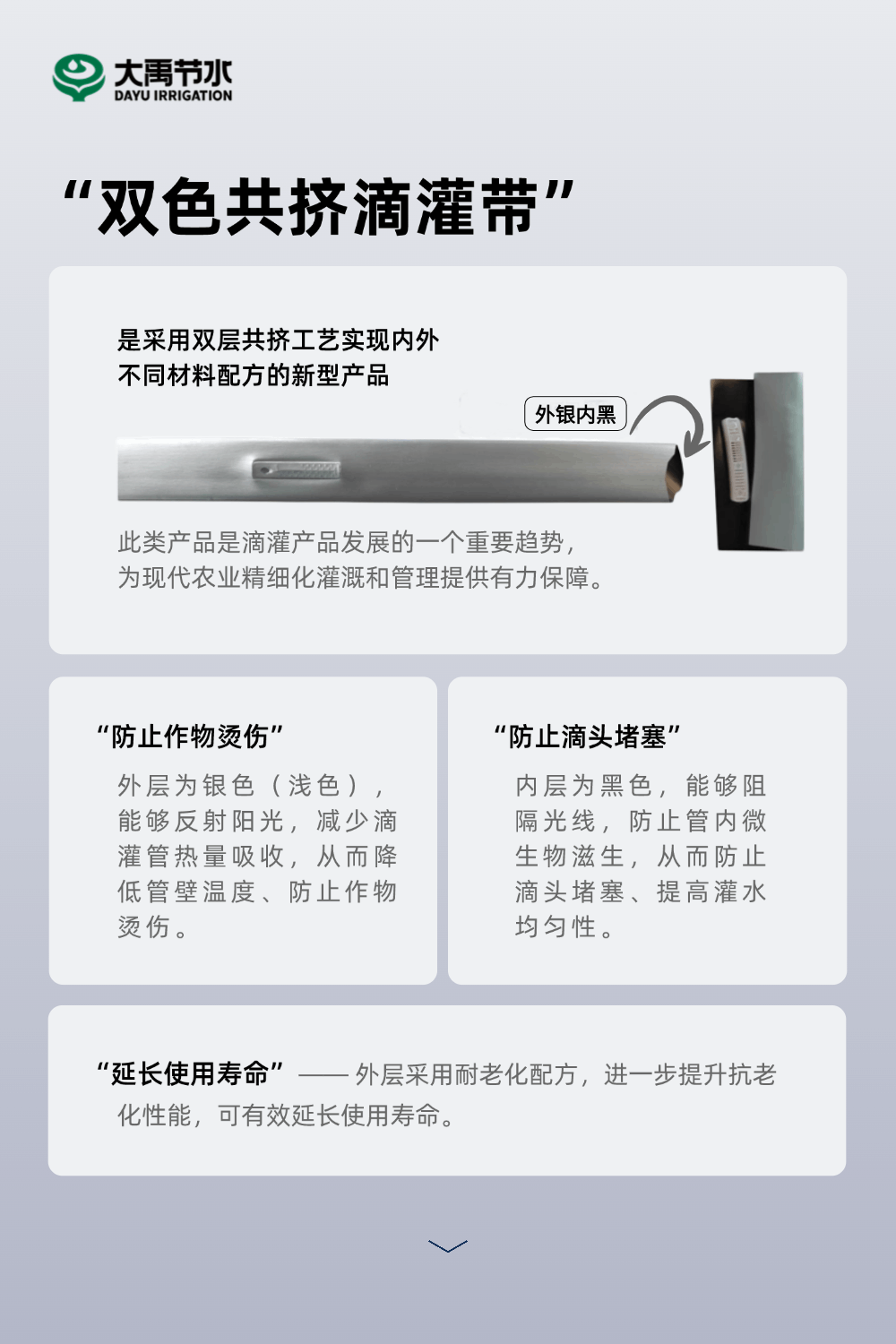 202502141739500883686607.gif 0211-代替1.gif