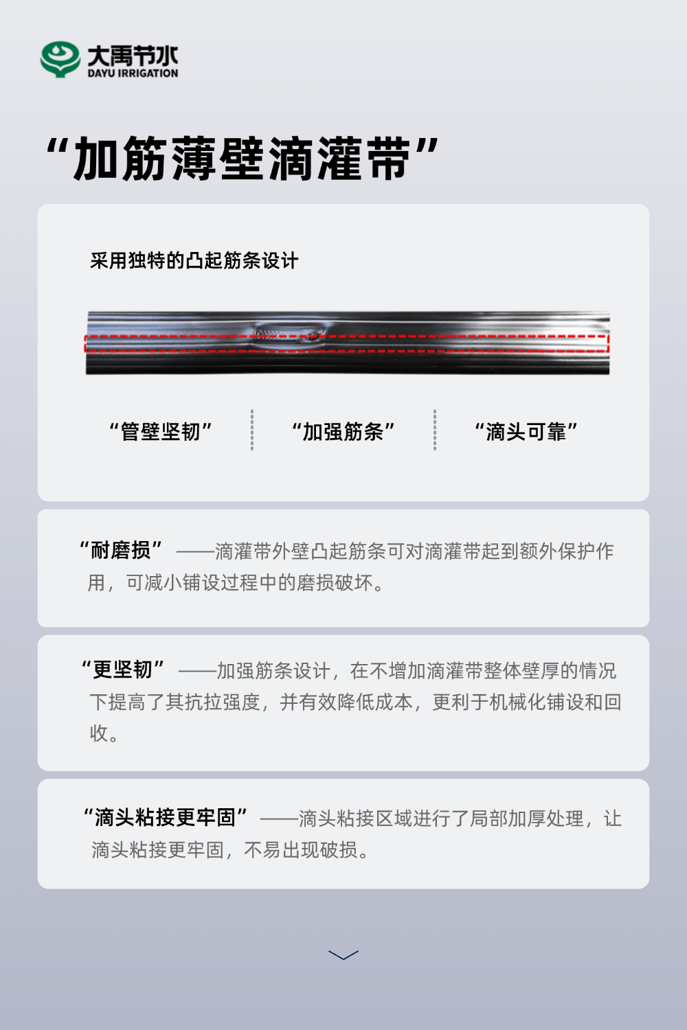 202502141739500920372647.gif 0211-代替2.gif