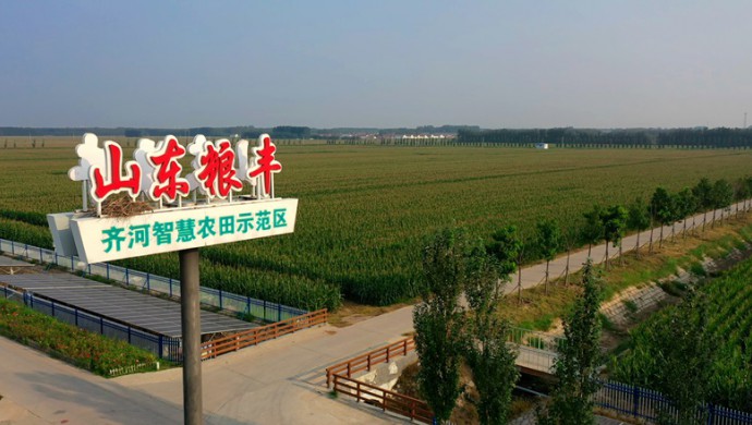  山东省齐河县深入农业水价综合鼎新推动现代化灌区建设试点项..
