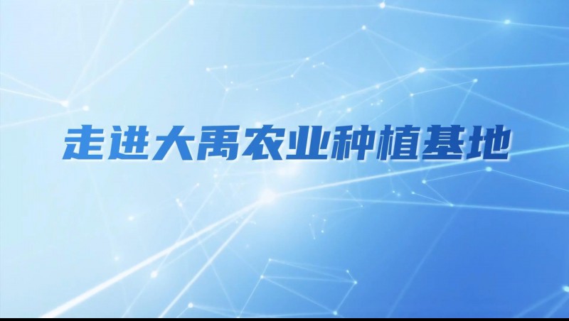 J9集团农业| 多元化种植基地矩阵，索求农业现代化新蹊径